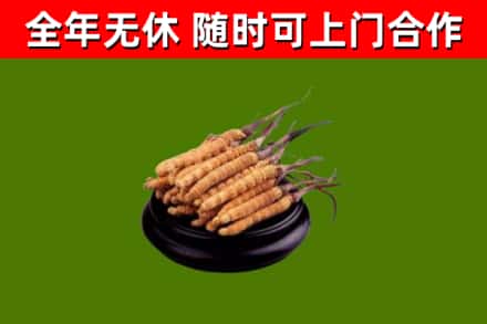 木垒县烟酒回收冬虫夏草.jpg