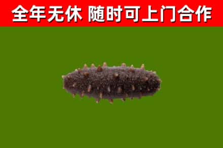 木垒县烟酒回收干海参.jpg